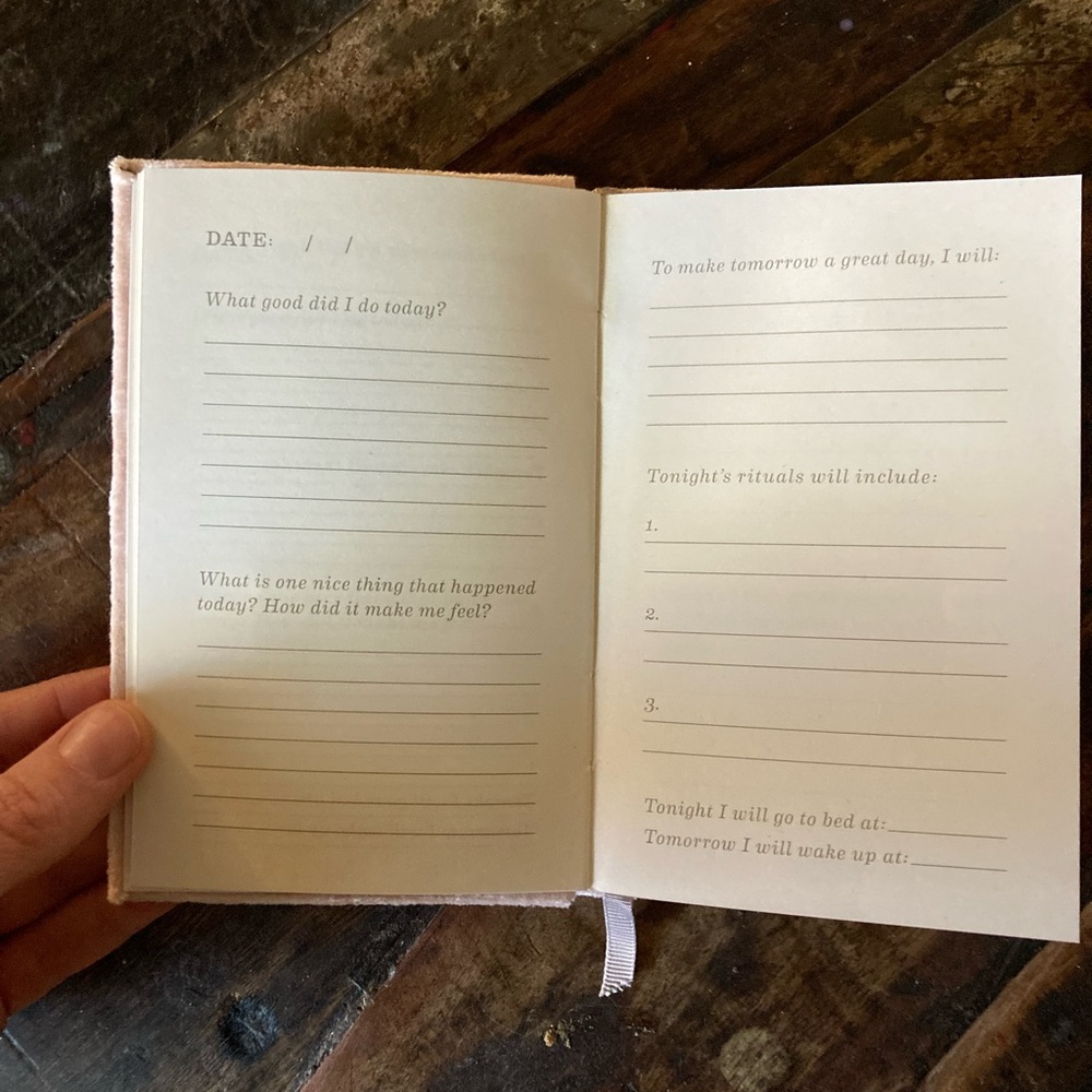 Nighttime Rituals journal in pink velvet New - Picture 4 of 6